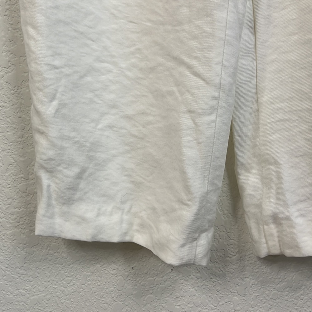 ZARA Pleated Pants - Picture 8 of 13